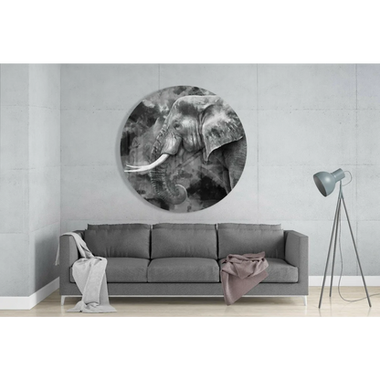 Majestic black-and-white elephant tempered glass art on wall