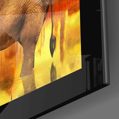 Stunning elephant glass wall art with Taj Mahal reflection and fiery rear end