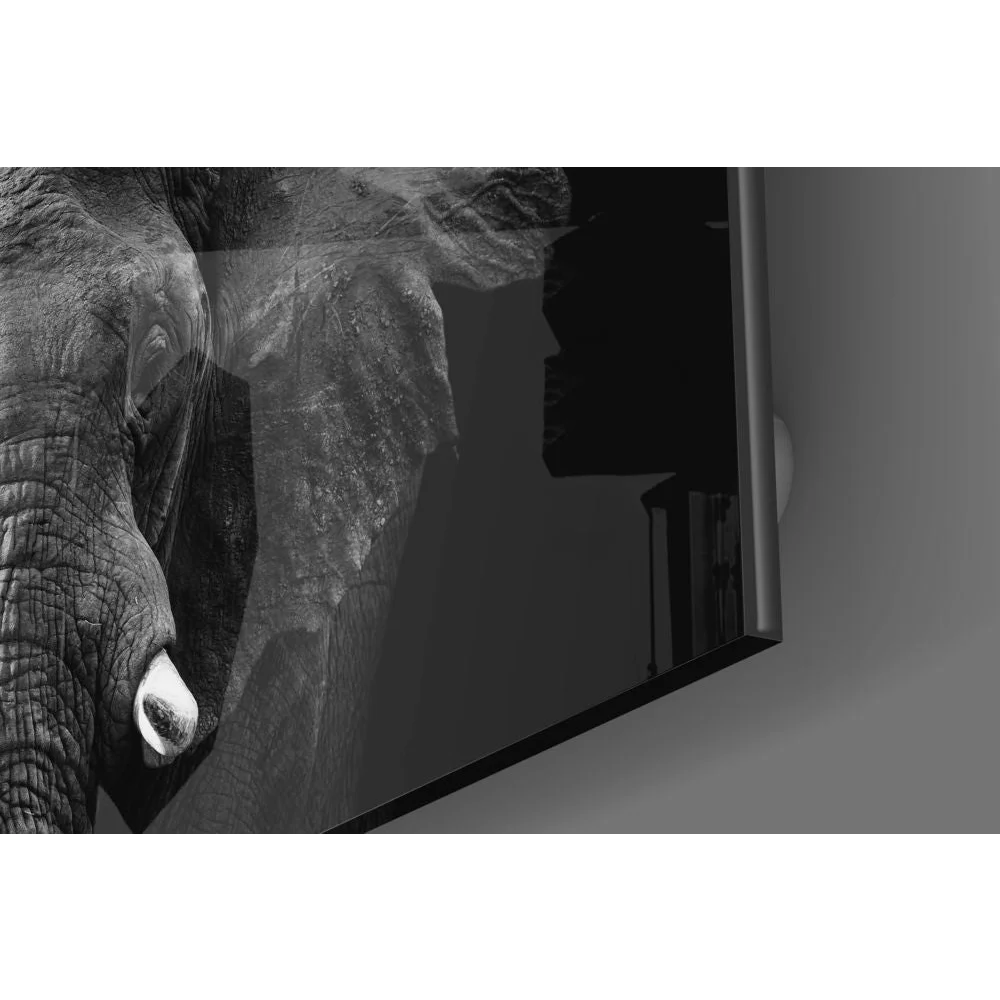 Black-framed TV shows grayscale elephant head in stunning tempered glass art