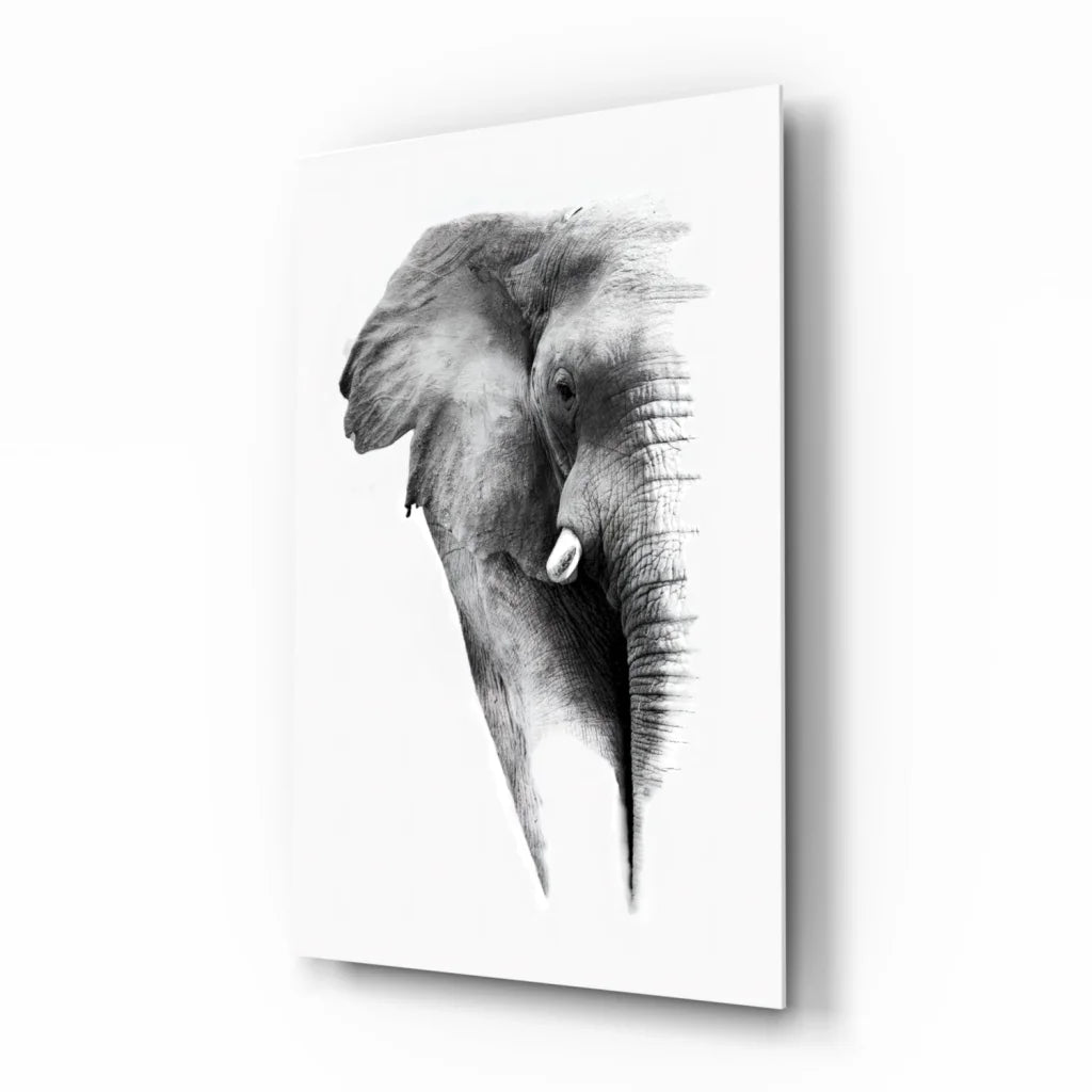 Black and white elephant head sketch canvas wall art