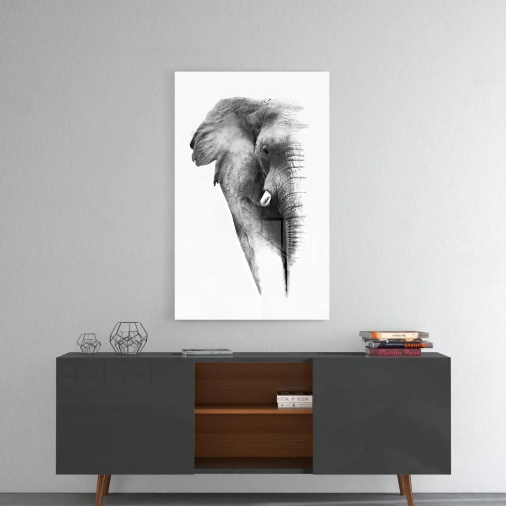 Bold black and white elephant canvas wall art print