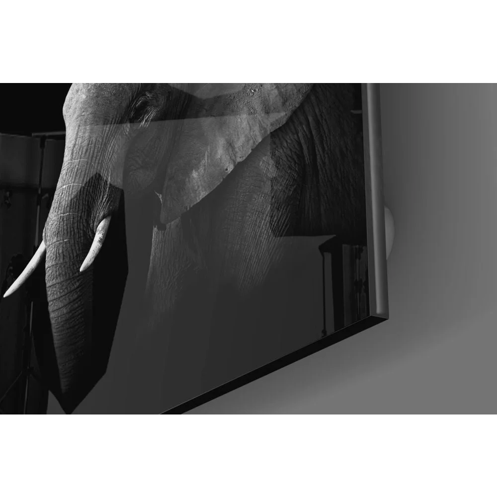 Majestic Elephant Tempered Glass Art Panel | Glass Wall Art Print | vintageantiquesgifts.com