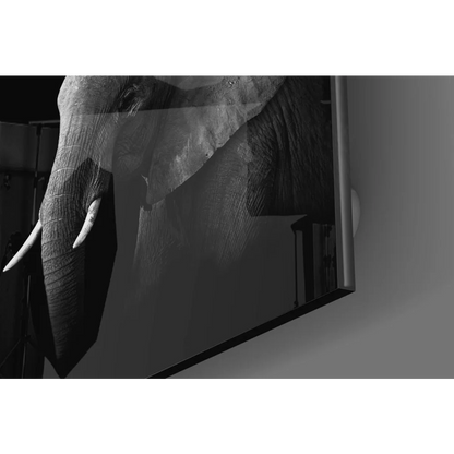 Majestic Elephant Tempered Glass Art Panel | Glass Wall Art Print | vintageantiquesgifts.com