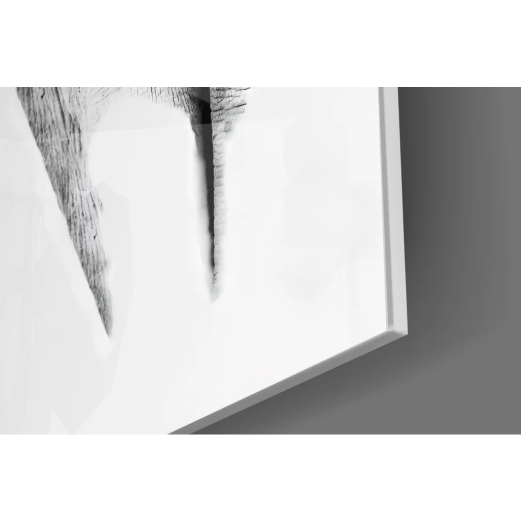 Stunning black and white elephant wall art in white frame