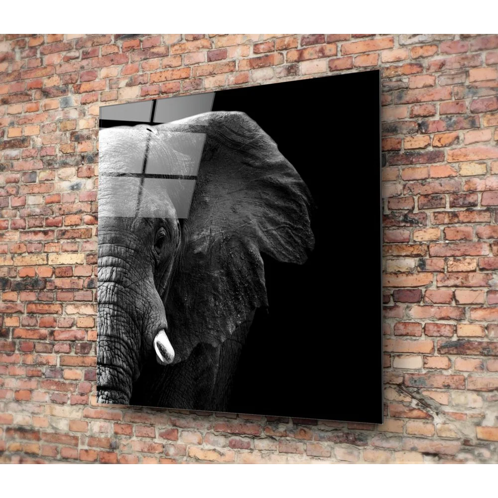 Stunning elephant head portrait on tempered glass art panel