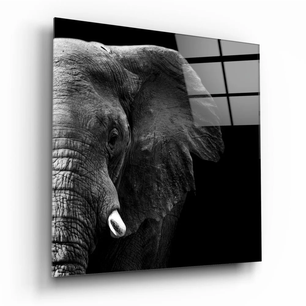 Stunning black-and-white elephant head tempered glass art on glossy panel