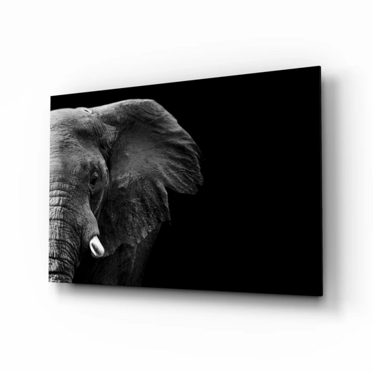 Black and white elephant head canvas wall art close-up