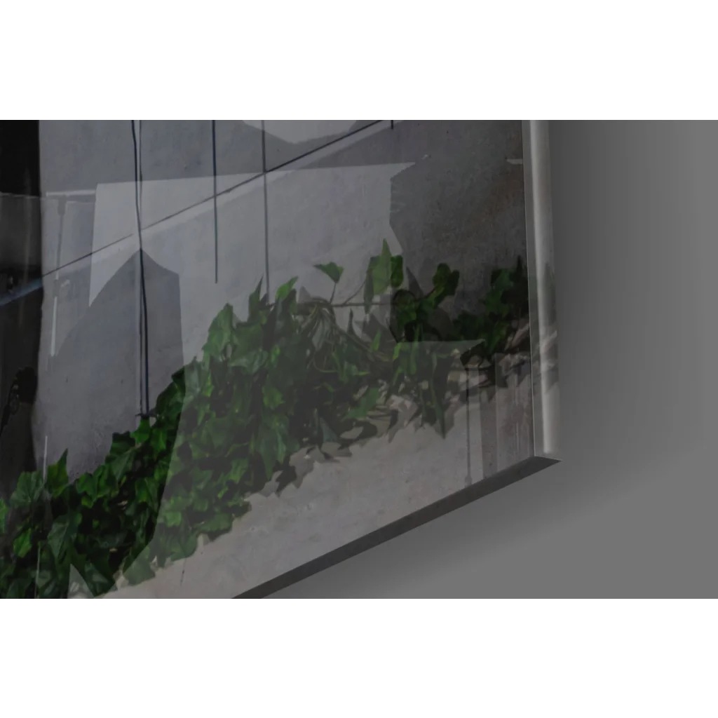 Green leafy plant on reflective glass wall art print