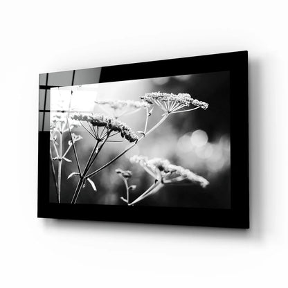 Delicate dried wildflowers in black-framed black and white glass wall art