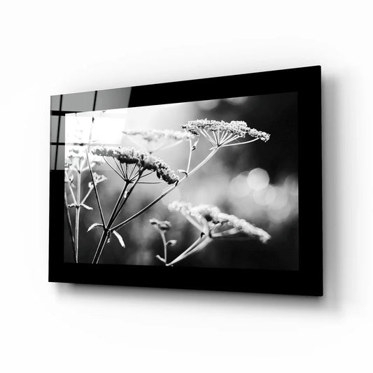 Delicate dried wildflowers in black-framed black and white glass wall art