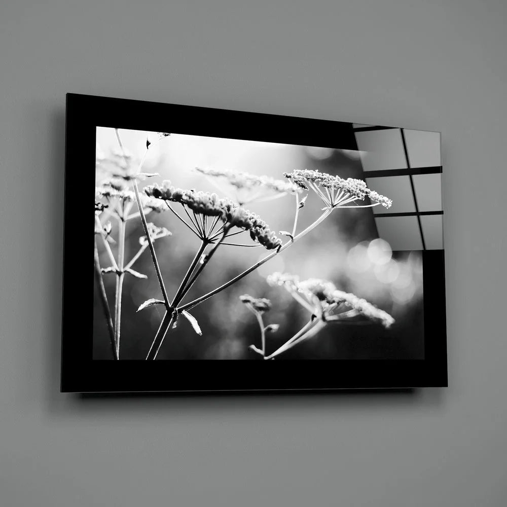 Black-framed glass wall art of dried plant stems in black and white
