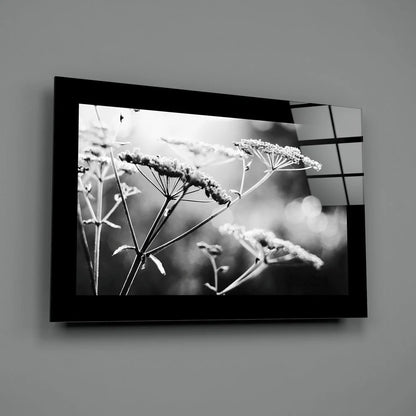 Black-framed glass wall art of dried plant stems in black and white