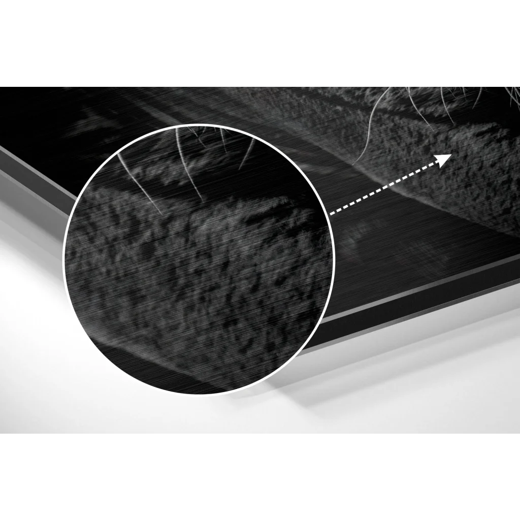 Black textured brushed aluminium dibond art with fine hair-like strands