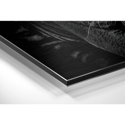 Stunning brushed aluminium dibond wall art with black-and-silver frame and high-contrast black-and-white landscape