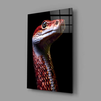 Striking red and white snake on glossy glass wall art panel
