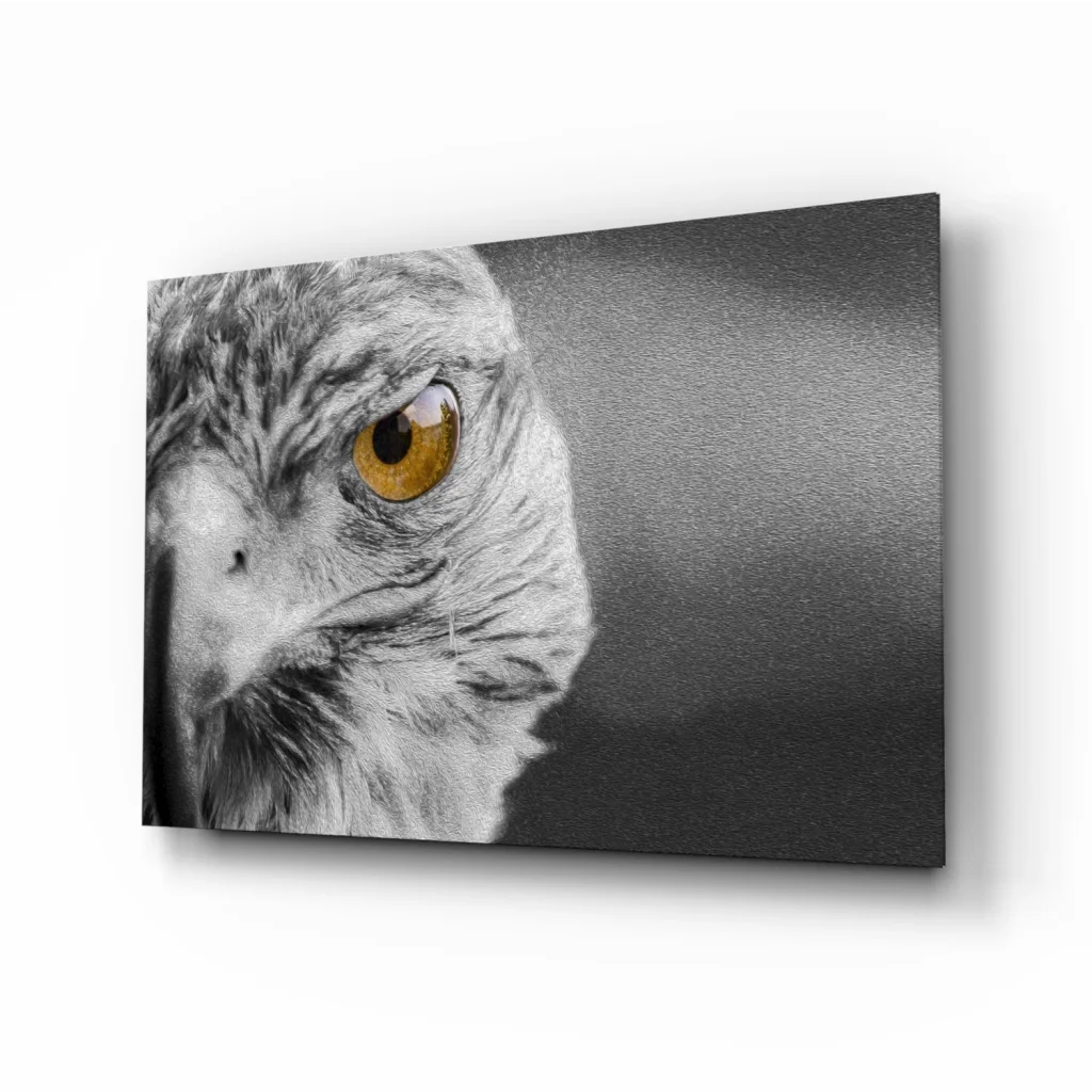 Majestic eagle golden eye black-and-white canvas wall art print