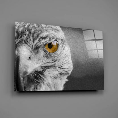 Majestic eagle golden eye black-and-white canvas wall art print