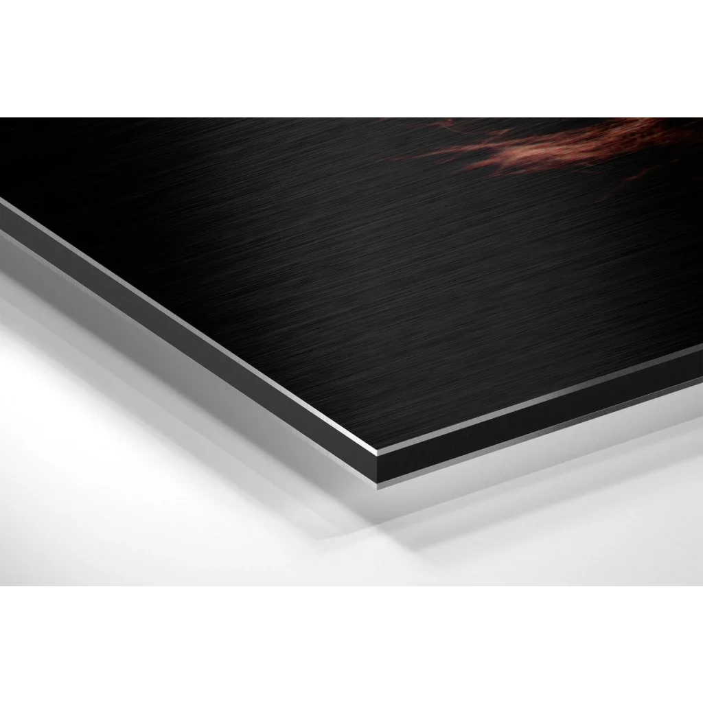 Stunning Brushed Aluminium Dibond Feather Wall Art | Glass Wall Art Print | vintageantiquesgifts.com
