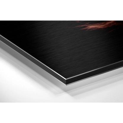 Stunning Brushed Aluminium Dibond Feather Wall Art | Glass Wall Art Print | vintageantiquesgifts.com