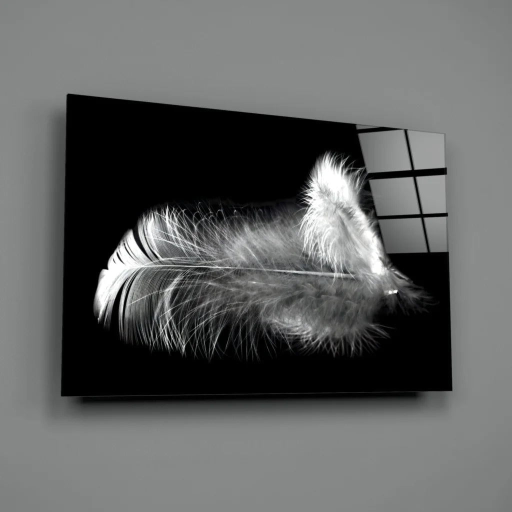 Stunning black and white feather glass wall art canvas print