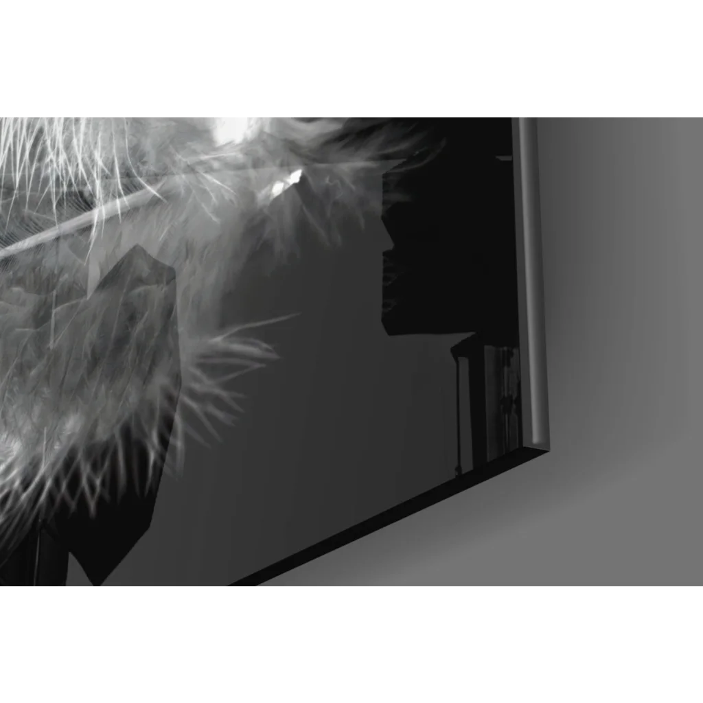 Sleek black-framed glass wall art with white feather patterns