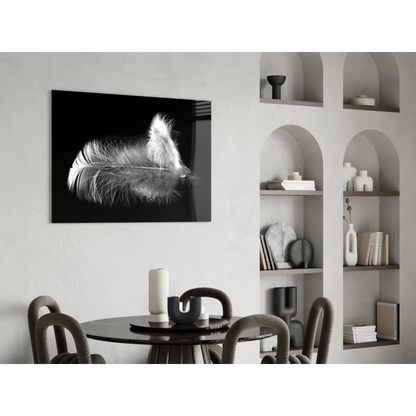 Black-and-white feather glass wall art print mounted on wall