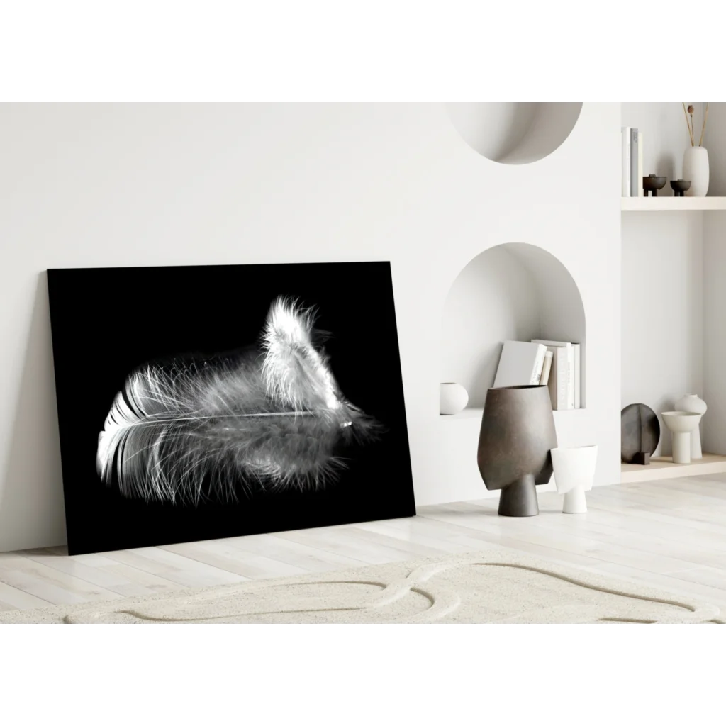 Stunning black and white feather glass wall art canvas print