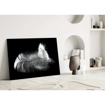 Stunning black and white feather glass wall art canvas print