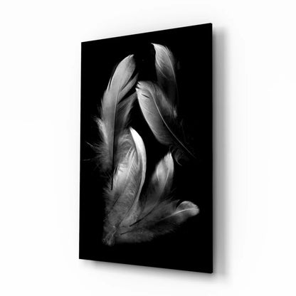 Feathered Elegance Black and White Canvas Wall Art | Insigneart USA | vintageantiquesgifts.com