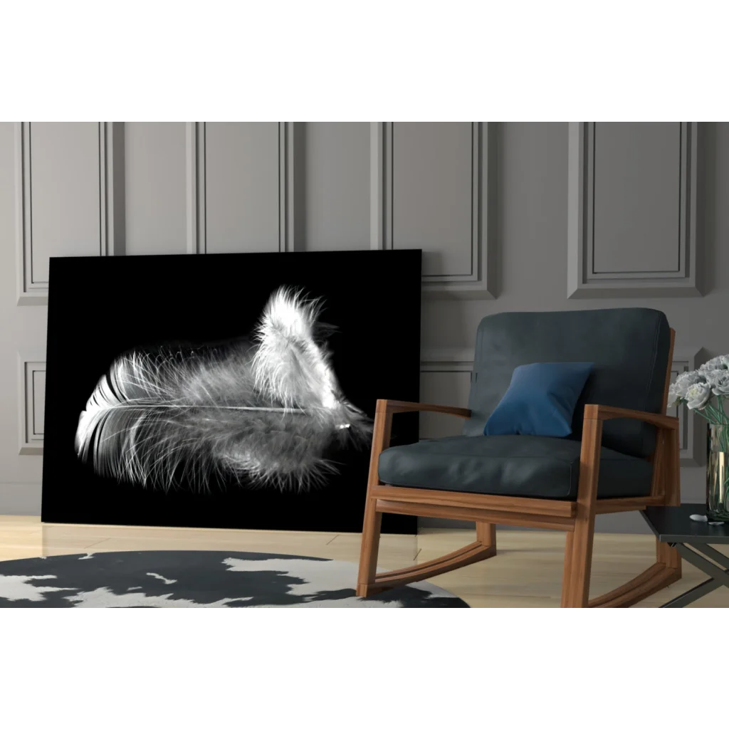 Monochromatic white feather on black canvas glass wall art print