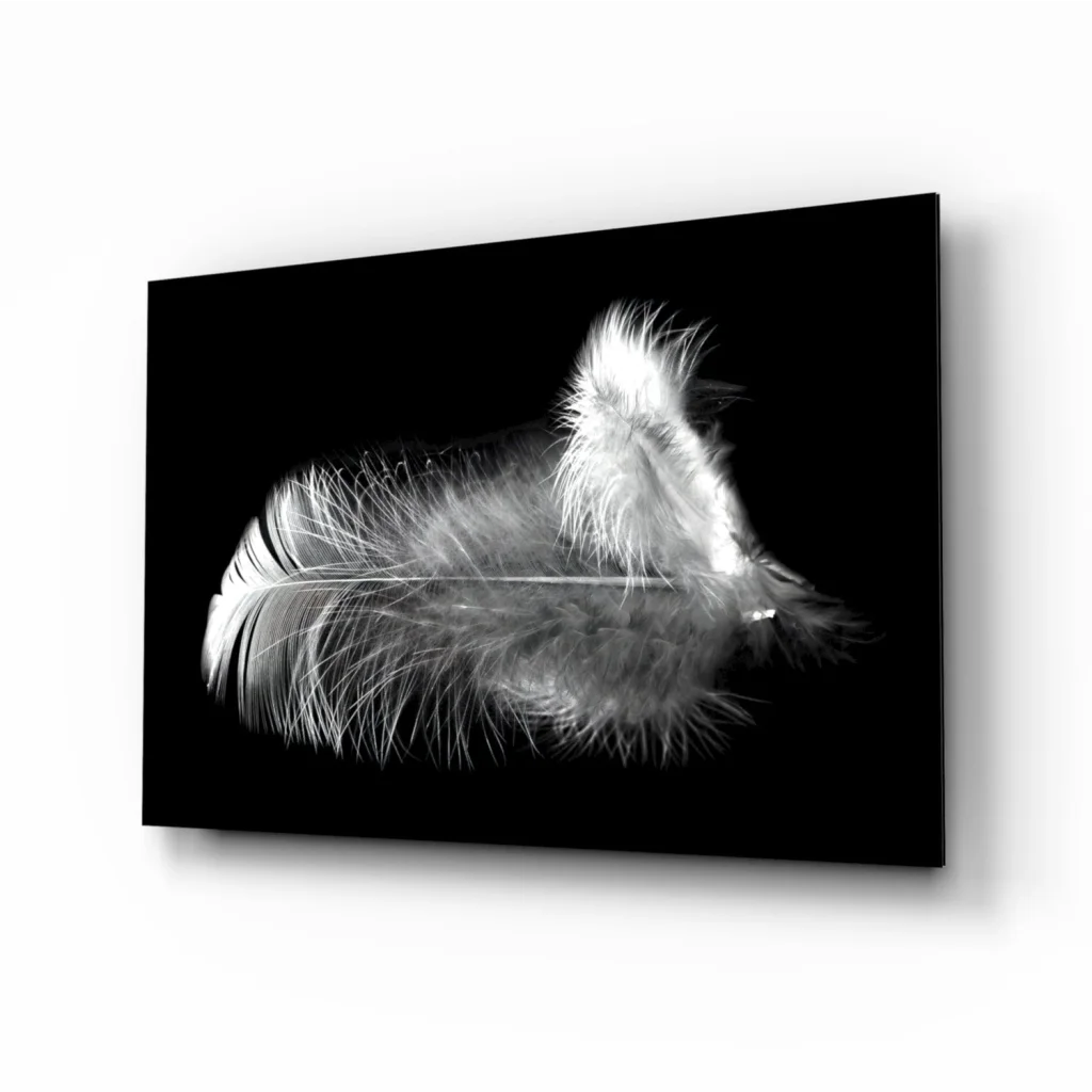 Stunning black and white feather glass wall art canvas print