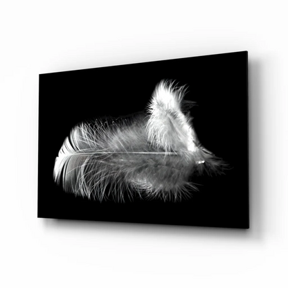 Stunning black and white feather glass wall art canvas print