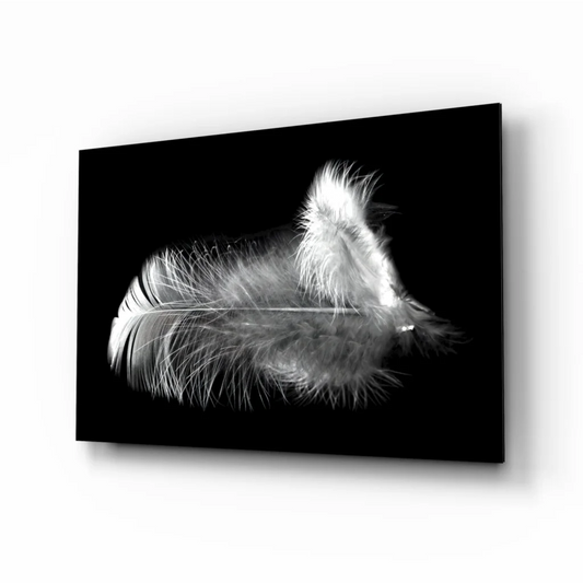 Stunning black and white feather glass wall art canvas print
