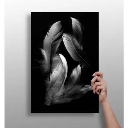 Stunning feather insigne aluminum print in black-and-white elegance