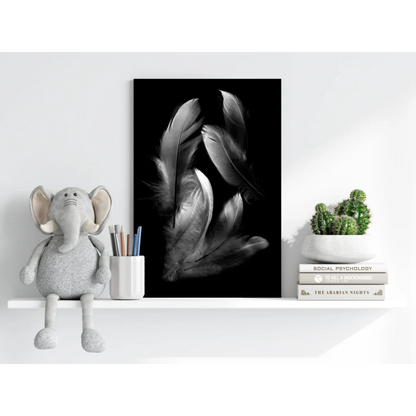 Stunning insigne aluminum prints of delicate black-and-white feathers