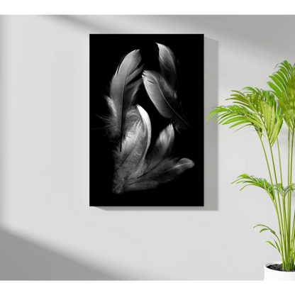 Stunning insigne aluminum prints of softly lit black-and-white feathers