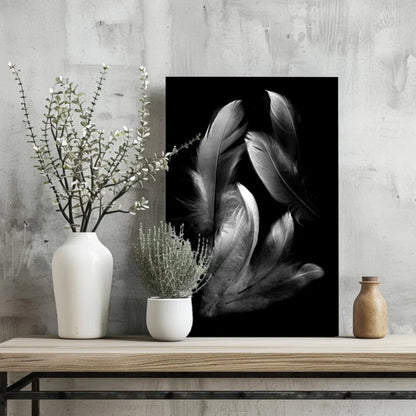 Black-and-white feather insigne aluminum print on wooden shelf