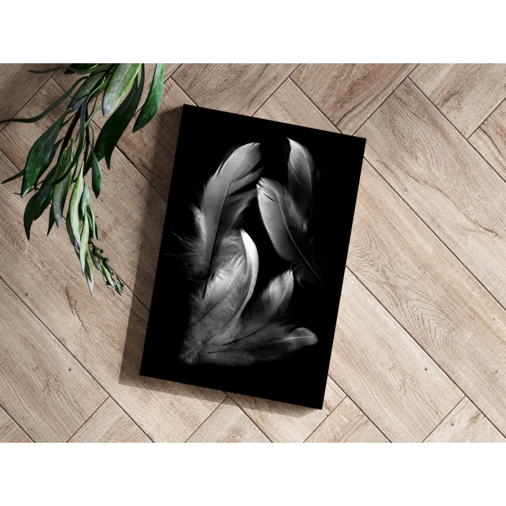 Stunning feather insigne aluminum print with soft monochrome feathers