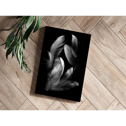 Stunning feather insigne aluminum print with soft monochrome feathers
