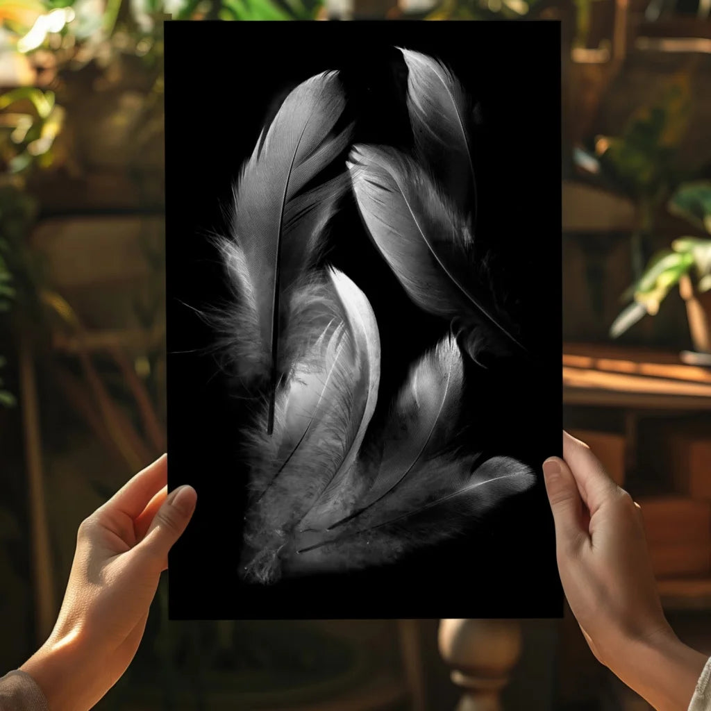 Elegant black-and-white feathers on insigne aluminum print
