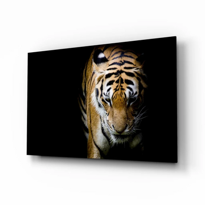 Fierce tiger tempered glass art with bold orange stripes, black frame