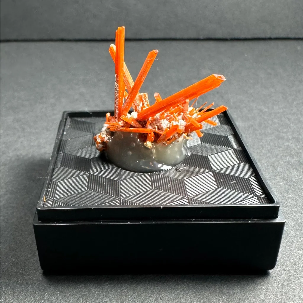 Vibrant orange Fiery Crocoite crystals from Tasmanias Adelaide Mine in gray gelatinous base on black geometric box