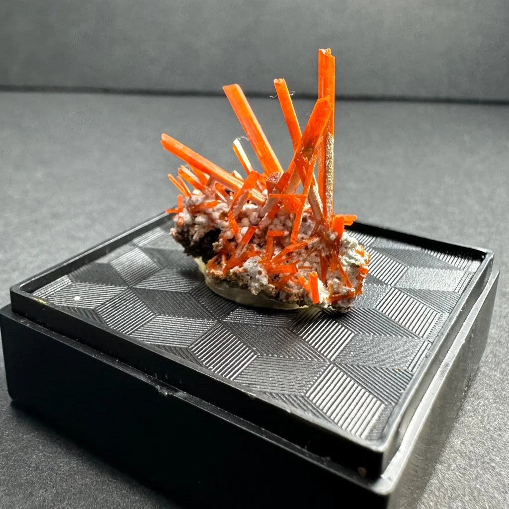 Vibrant fiery crocoite crystal cluster from Tasmania Adelaide Mine