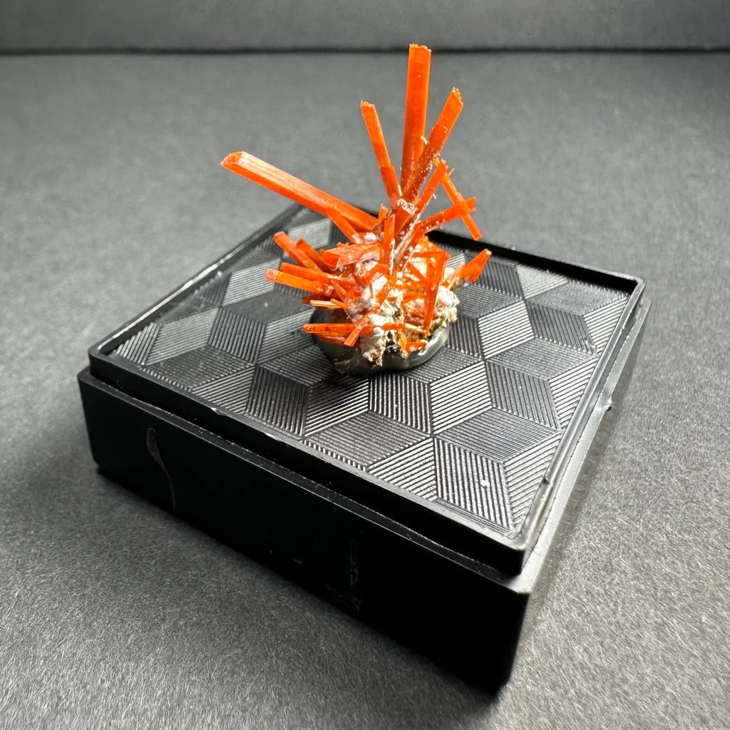 Vibrant fiery crocoite crystal cluster from Tasmanias Adelaide Mine
