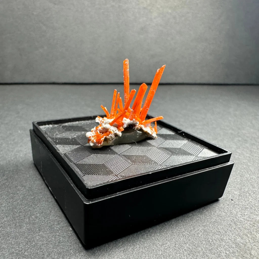 Vibrant fiery orange crocoite crystal spikes from Tasmania Australia