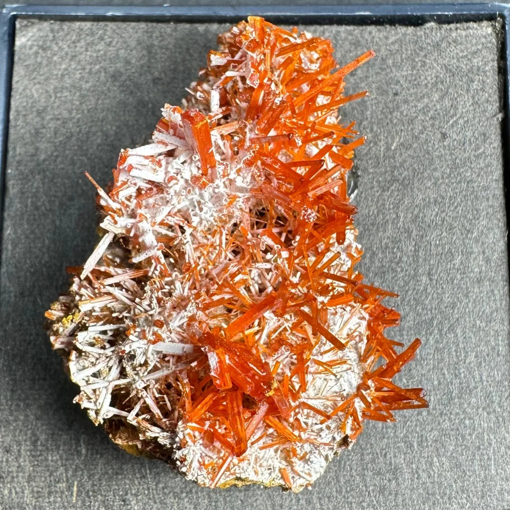 Vibrant fiery orange crocoite crystal spikes from Tasmania