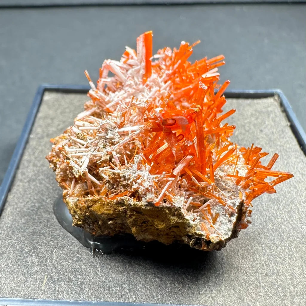 Vibrant fiery orange crocoite crystal spikes from Tasmania