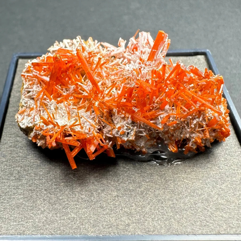 Vibrant orange crocoite crystal spikes from Tasmania in pale matrix