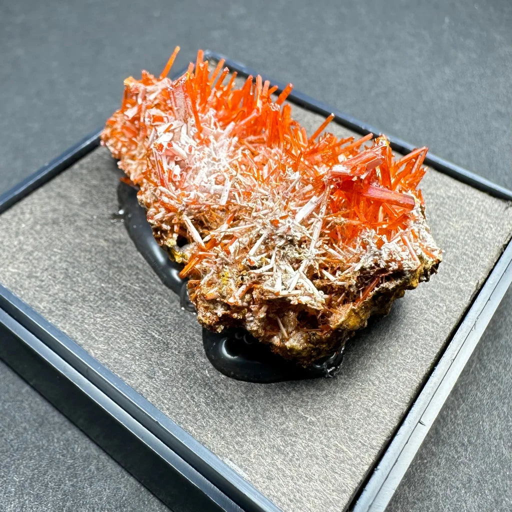 Vibrant fiery orange crocoite crystal spikes from Tasmania