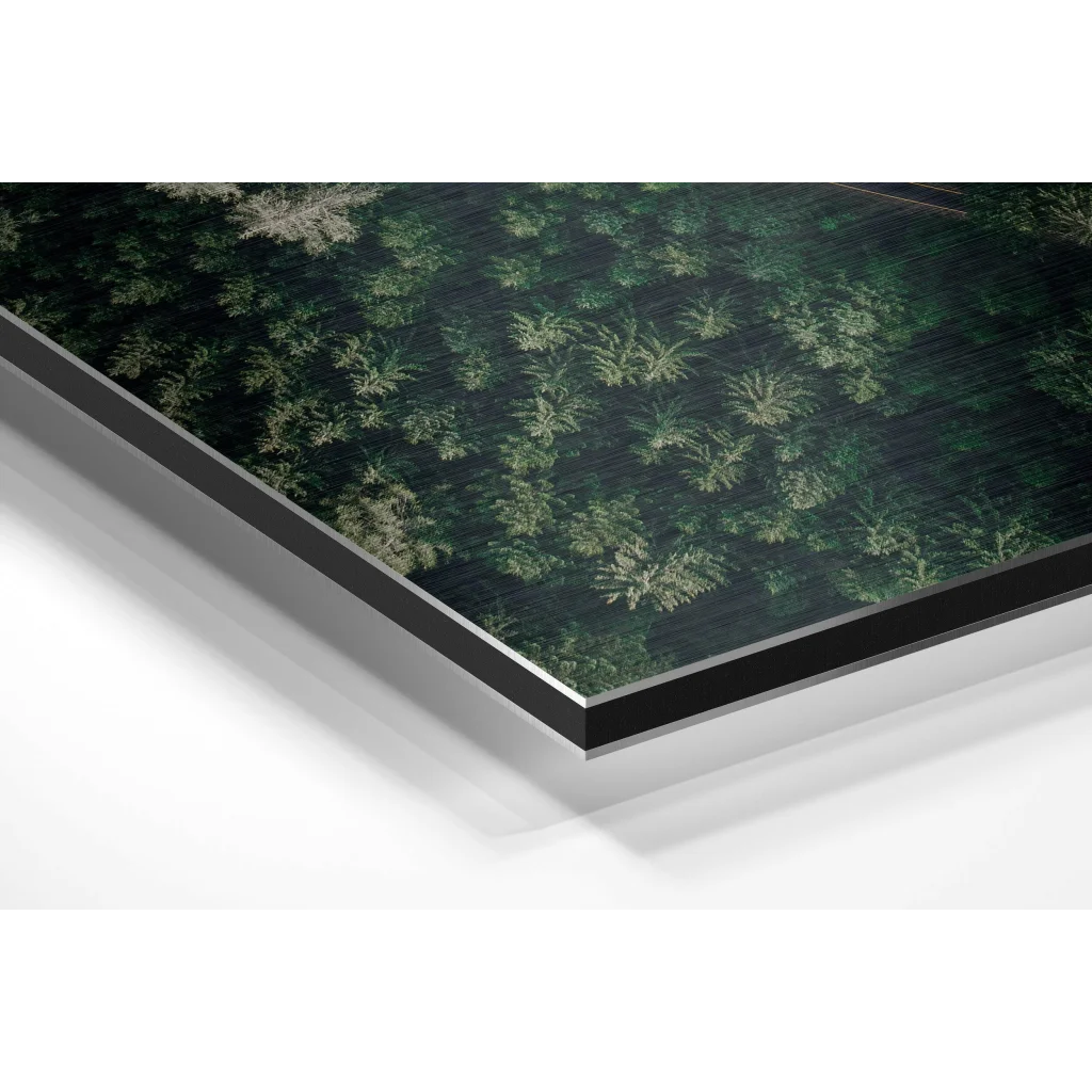 Glass Wall Art Sleek black-framed forest print on brushed aluminium dibond